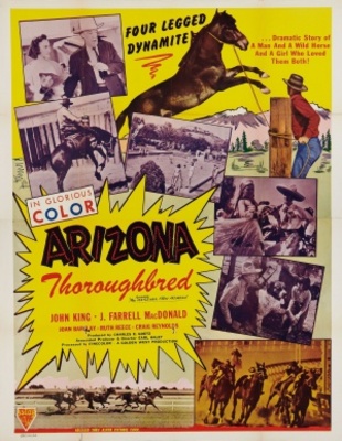 The Gentleman from Arizona movie poster (1939) wood print