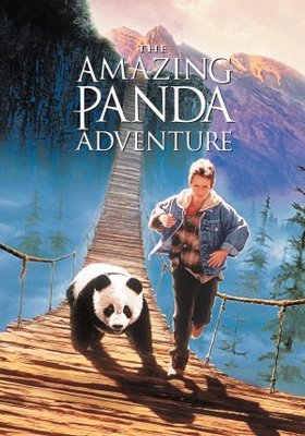 The Amazing Panda Adventure movie poster (1995) hoodie