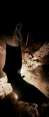 Batman Begins movie poster (2005) magic mug #MOV_c3c9d5e0