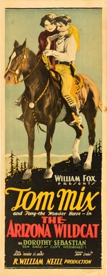 The Arizona Wildcat movie poster (1927) Stickers MOV_c729ebd2