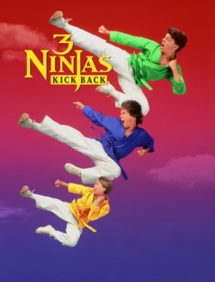 3 Ninjas Kick Back movie poster (1994) wooden framed poster
