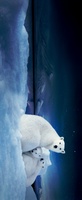 To the Arctic 3D movie poster (2012) sweatshirt #1069163
