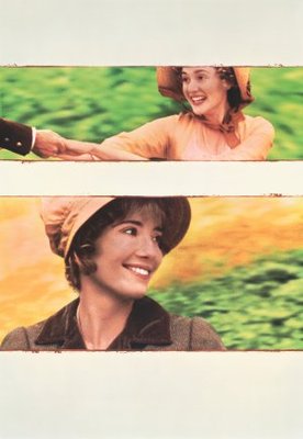 Sense and Sensibility movie poster (1995) canvas poster