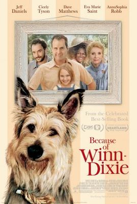 Because of Winn-Dixie movie poster (2005) poster with hanger