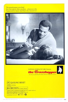The Grasshopper movie poster (1969) metal framed poster