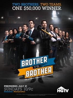 Brother vs. Brother movie poster (2013) wooden framed poster