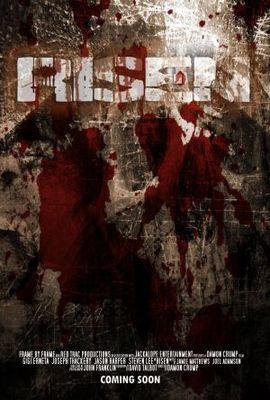 Risen movie poster (2005) metal framed poster