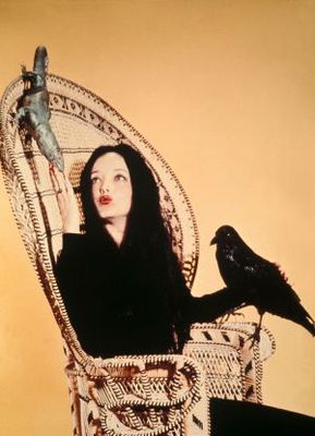 The Addams Family movie poster (1964) Stickers MOV_d2659b7d