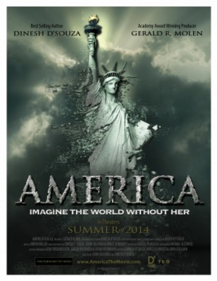 America movie poster (2014) pillow