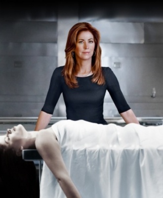 Body of Proof movie poster (2010) poster with hanger