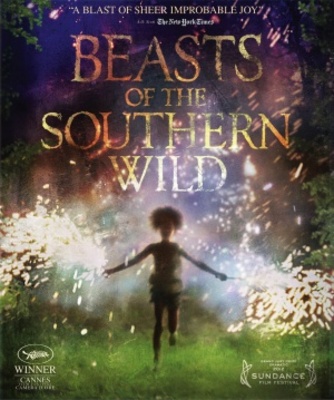 Beasts of the Southern Wild movie poster (2012) metal framed poster