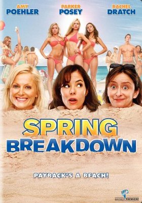 Spring Breakdown movie poster (2009) pillow