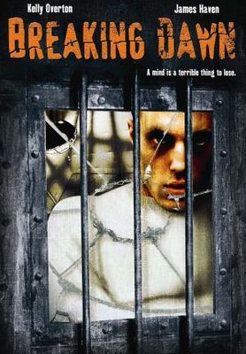 Breaking Dawn movie poster (2004) puzzle MOV_d62da12d