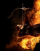 The Hunger Games movie poster (2012) magic mug #MOV_d67a4bb4