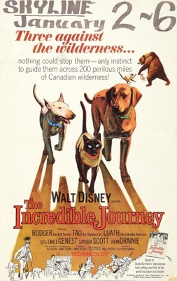 The Incredible Journey movie poster (1963) Poster MOV_d7ecfb7a