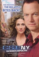 CSI: NY movie poster (2004) Mouse Pad MOV_d83807ba