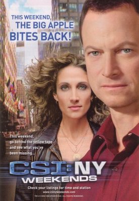CSI: NY movie poster (2004) canvas poster