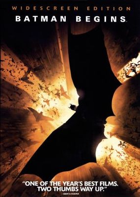 Batman Begins movie poster (2005) mug #MOV_d8b485ce