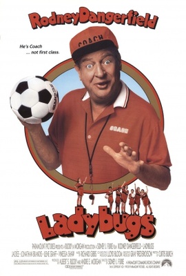 Ladybugs movie poster (1992) poster with hanger