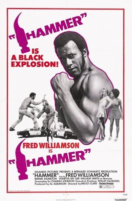 Hammer movie poster (1972) hoodie