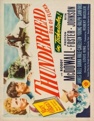Thunderhead - Son of Flicka movie poster (1945) canvas poster