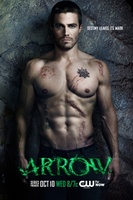 Arrow movie poster (2012) magic mug #MOV_db88da0a