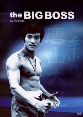 Tang shan da xiong movie poster (1971) canvas poster