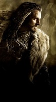 The Hobbit: The Desolation of Smaug movie poster (2013) magic mug #MOV_dd91bf26