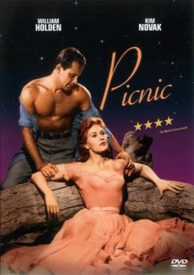 Picnic movie poster (1955) metal framed poster