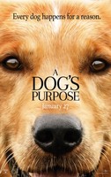 A Dogs Purpose movie poster (2017) magic mug #MOV_digpnw9y