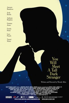 You Will Meet a Tall Dark Stranger movie poster (2010) wood print