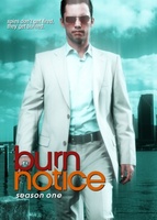 Burn Notice movie poster (2007) Mouse Pad MOV_e293e7e6