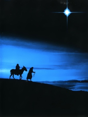 The Nativity Story movie poster (2006) wood print