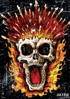 Ghost Rider: Spirit of Vengeance movie poster (2012) tote bag #MOV_e6dcc404