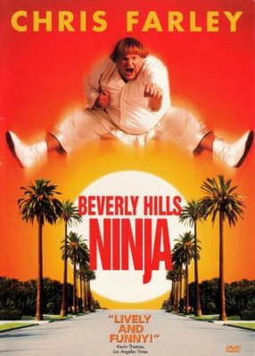 Beverly Hills Ninja movie poster (1997) poster with hanger