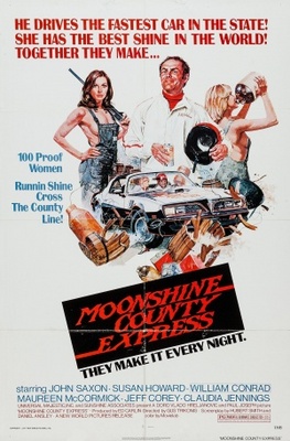 Moonshine County Express movie poster (1977) wood print