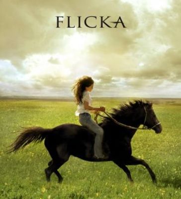 Flicka movie poster (2006) wood print