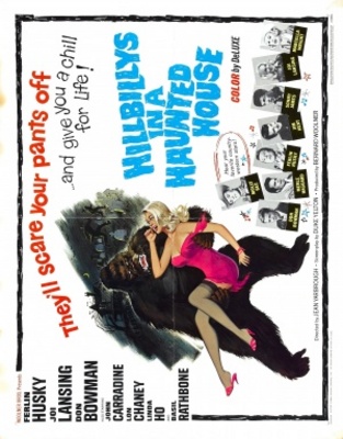 Hillbillys in a Haunted House movie poster (1967) canvas poster