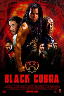 When the Cobra Strikes movie poster (2012) mug