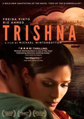 Trishna movie poster (2011) poster