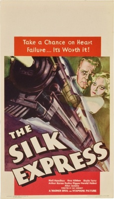 The Silk Express movie poster (1933) mug