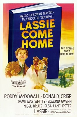 Lassie Come Home movie poster (1943) Stickers MOV_e8f5be9e