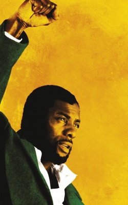 Mandela: Long Walk to Freedom movie poster (2013) Poster MOV_e9d6c7a1