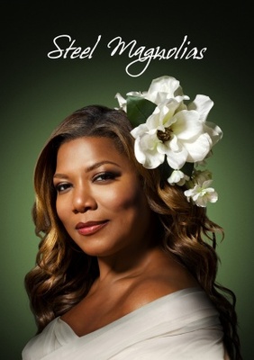 Steel Magnolias movie poster (2012) Poster MOV_ebac7eef