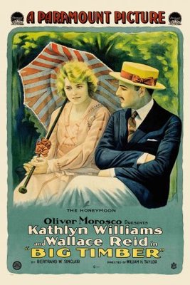Big Timber movie poster (1917) Stickers MOV_ec745e1a