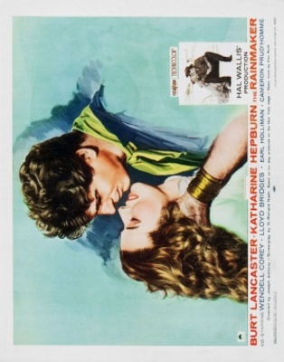 The Rainmaker movie poster (1956) mug