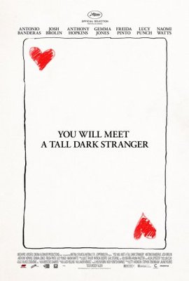You Will Meet a Tall Dark Stranger movie poster (2010) pillow