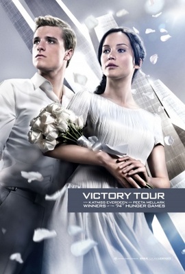 Catching Fire movie poster (2013) Poster MOV_f45d5e28