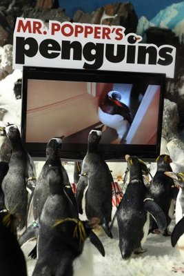 Mr. Popper's Penguins movie poster (2011) canvas poster