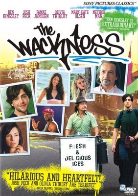 The Wackness movie poster (2008) metal framed poster